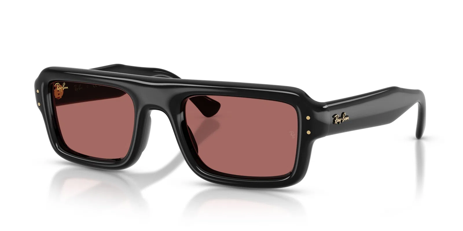 Ray-Ban 4954 Sunglasses - view 13